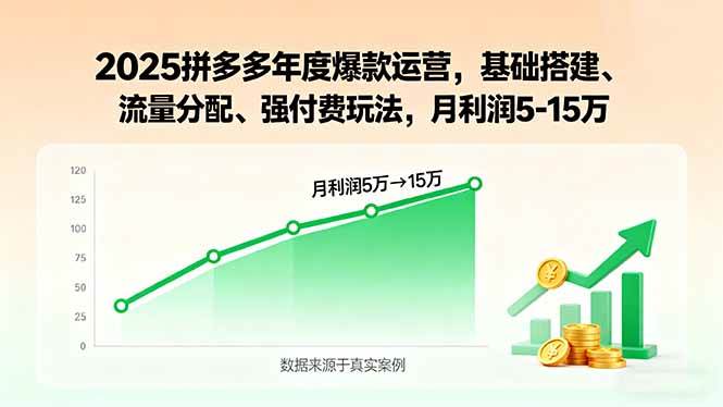 (15973期)2025拼多多年度爆款运营,基础搭建、流量分配、强付费玩法,月利润5-15万-星空网创资源