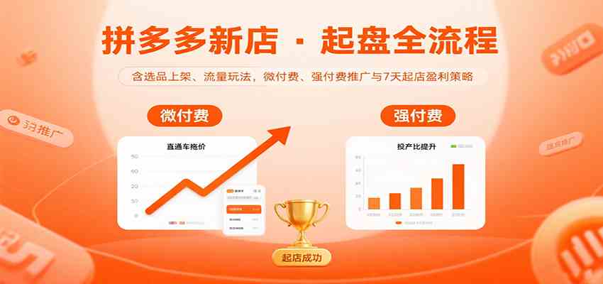 拼多多新店起盘全流程,含选品上架、流量玩法,微付费、强付费推广与7天起店盈利策略-星空网创资源