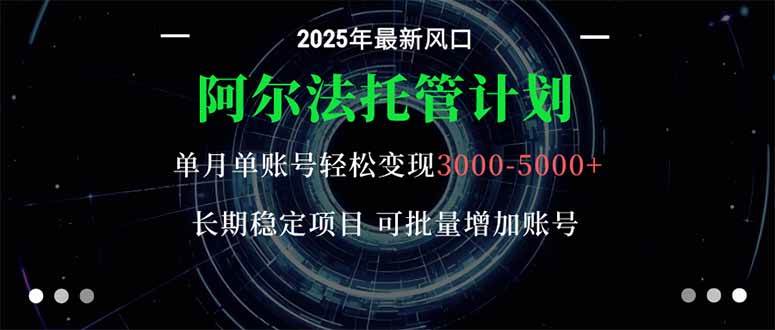 （16360期）阿尔法托管计划 单账号月入3000-5000，长期稳定项目，新手小白轻松上手。-星空网创资源