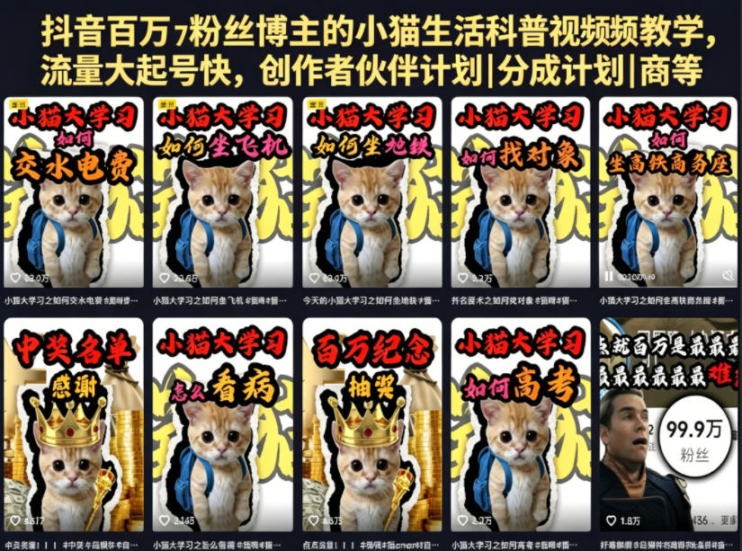抖音百万粉丝博主的小猫生活科普视频教学，流量大起号快，创作者伙伴计划|分成计划|商单|收徒等-星空网创资源