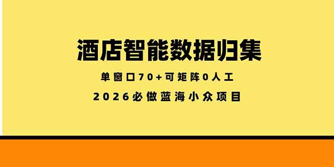(18500期)酒店智能数据归集,小众蓝海已经稳定半年之久,单窗口70+零成本矩阵开干-星空网创资源