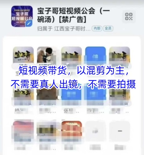 宝子哥头部团队短视频带货，以混剪为主，不需要真人出镜，不需要拍摄【更新26年1月】-星空网创资源