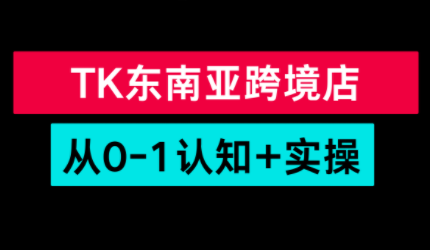 TikTok东南亚跨境从0-1认知实操课-星空网创资源