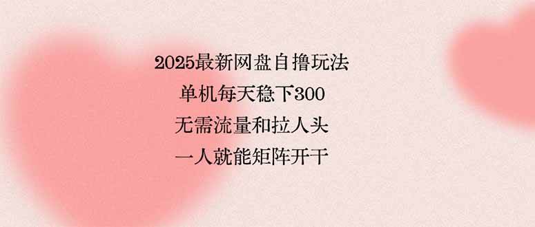(15831期)2025最新网盘自撸玩法,单机每天稳下3张,无需流量和拉人头,一个人就…-星空网创资源