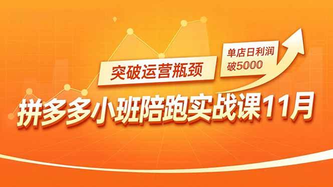 （16654期）拼多多小班陪跑实战课11月，强付费矩阵、原价活动、暗券引流，突破运营瓶颈，单店日利润破5000-星空网创资源