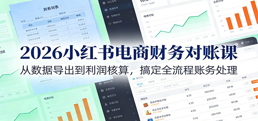 2026小红书电商财务对账课：从数据导出到利润核算，搞定全流程账务处理-星空网创资源