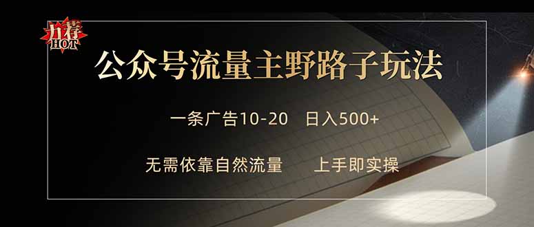 公众号流量主野路子玩法 单条广告10-20元 日入500+-星空网创资源