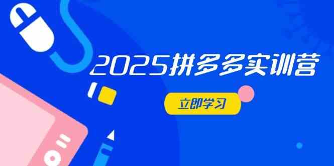 2025拼多多实训营:深度剖析运营关键,助力电商人快速提升-星空网创资源