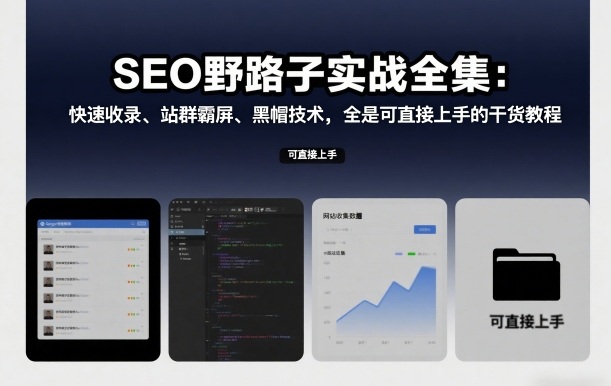 SEO野路子实战全集:快速收录、站群霸屏、黑帽技术,全是可直接上手的干货教程-星空网创资源