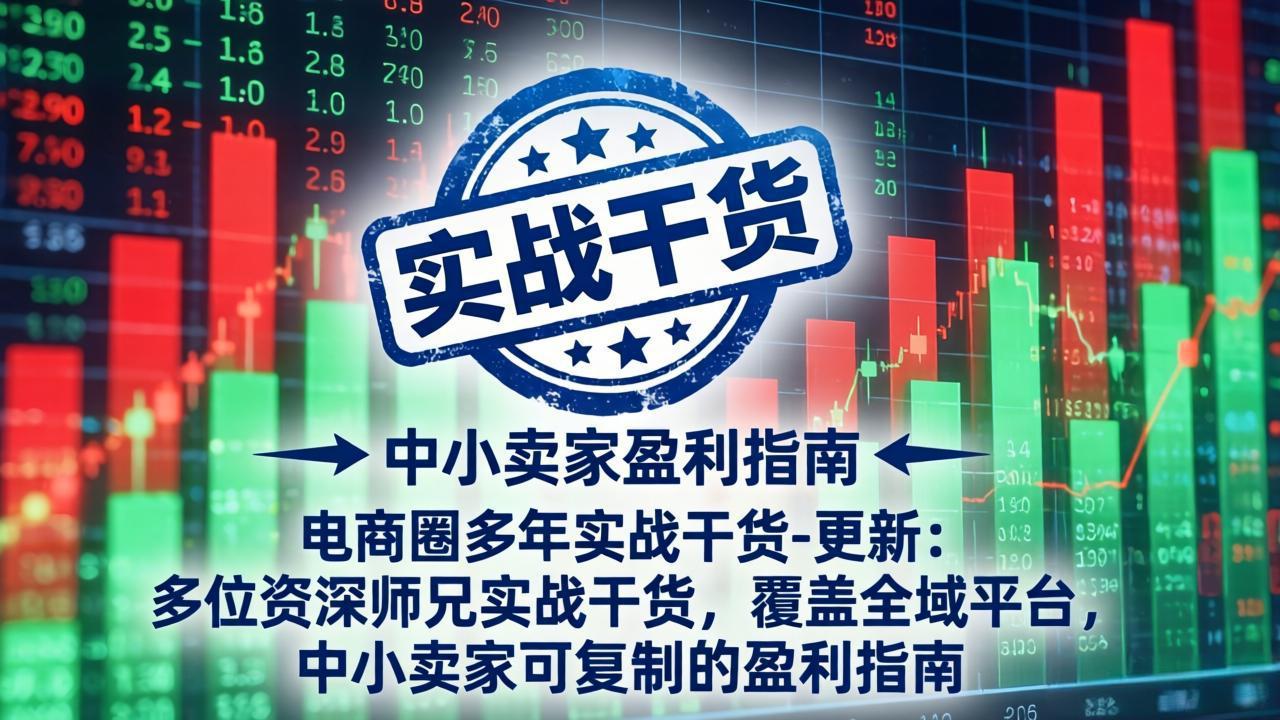 电商圈多年实战干货-更新4月:多位资深师兄实战干货,覆盖全域平台,中小卖家可复制的盈利指南-星空网创资源