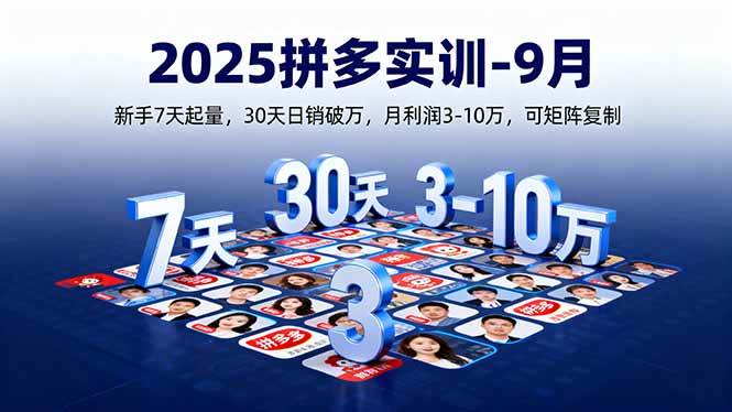 （16008期）2025拼多多实训-9月：新手7天起量,30天日销破万,月利润3-10万,可矩阵复制-星空网创资源