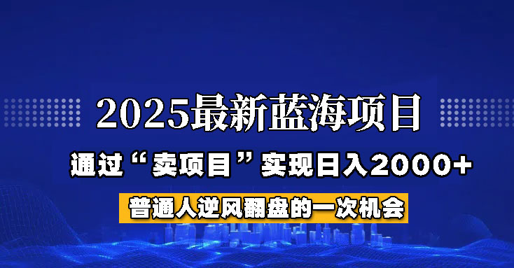2025年蓝海项目,如何通过“网创项目”日入2000+-星空网创资源