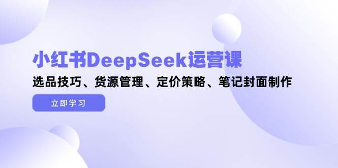 小红书DeepSeek运营课，选品技巧、货源管理、定价策略、笔记封面制作-星空网创资源