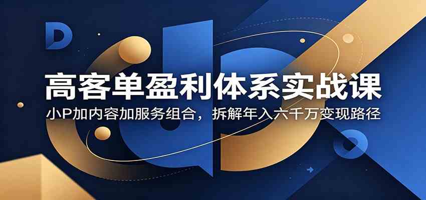 高客单盈利体系实战课:小P加内容加服务组合,拆解年入六千万变现路径-星空网创资源