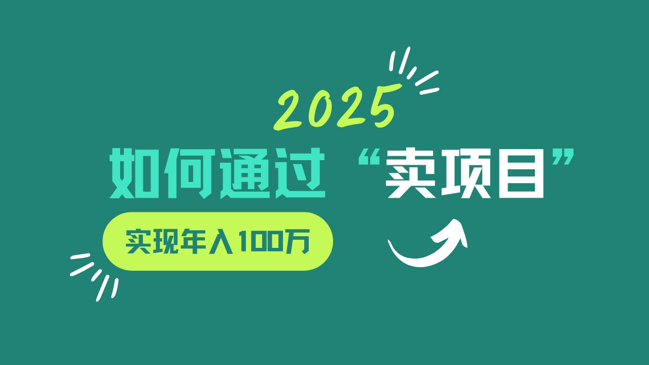 2025年如何通过“卖项目”实现年入100w-星空网创资源