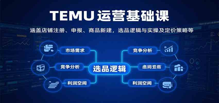 TEMU运营基础课:涵盖店铺注册、申报、商品新建,选品逻辑与实操及定价策略等-星空网创资源
