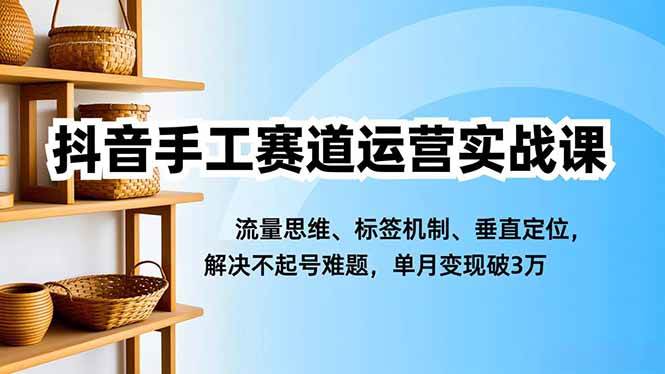 （16667期）抖音手工赛道运营实战课，流量思维、标签机制、垂直定位，解决不起号难题，单月变现破3万-星空网创资源