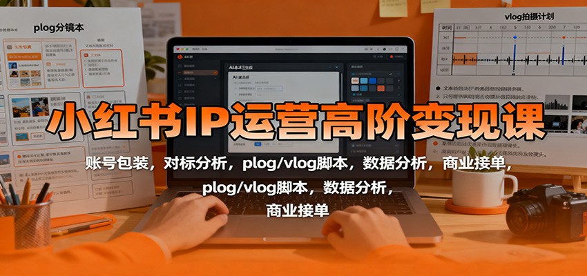 小红书IP运营高阶变现课：账号包装，对标分析，plog/vlog脚本，数据分析，商业接单-星空网创资源