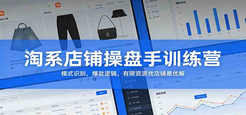 淘系店铺操盘手训练营:模式识别,爆款逻辑,有限资源找店铺最优解-星空网创资源
