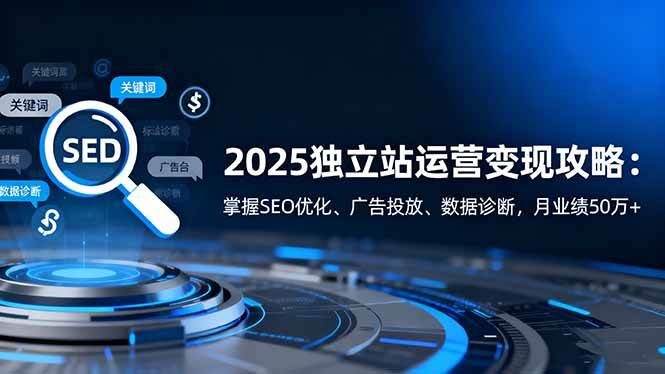 (16371期)2025独立站运营变现攻略:掌握SEO优化、广告投放、数据诊断,月业绩50万+-星空网创资源