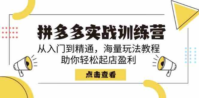 拼多多实战训练营，从入门到精通，海量玩法教程，助你轻松起店盈利-星空网创资源
