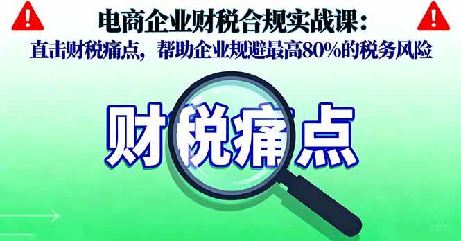 （16232期）电商企业财税合规实战课，直击财税痛点，帮助企业规避最高80%的税务风险-星空网创资源