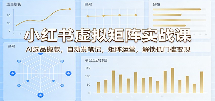 小红书虚拟矩阵实战课：AI选品搬款，自动发笔记，矩阵运营，解锁低门槛变现-星空网创资源