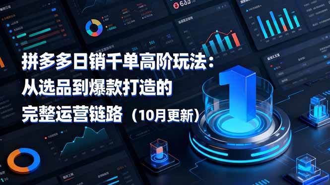 (16404期)拼多多日销千单高阶玩法:从选品到爆款打造的完整运营链路(10月更新)-星空网创资源