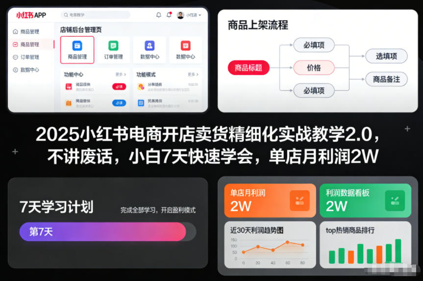 2025小红书电商开店卖货精细化实战教学2.0，不讲废话，小白7天快速学会，单店月利润2W-星空网创资源