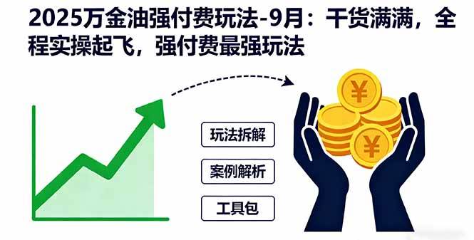 (16202期)2025万金油强付费玩法-9月:干货满满,全程实操起飞,强付费最强玩法-星空网创资源