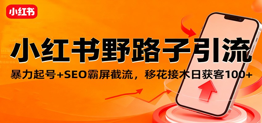 小红书野路子引流，暴力起号+SEO霸屏截流，移花接木日获客100+-星空网创资源