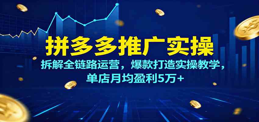 拼多多推广实操，拆解全链路运营，爆款打造实操教学，单店月均盈利5万+-星空网创资源