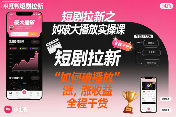 短剧拉新之小红书如何破大播放实操课，如何破播放，涨收益，全程干货-星空网创资源