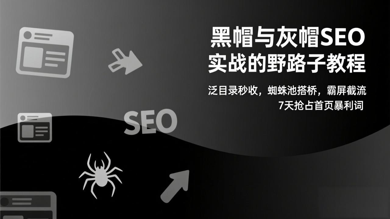黑帽与灰帽SEO实战的野路子教程:泛目录秒收,蜘蛛池搭桥,霸屏截流,7天抢占首页暴利词-星空网创资源