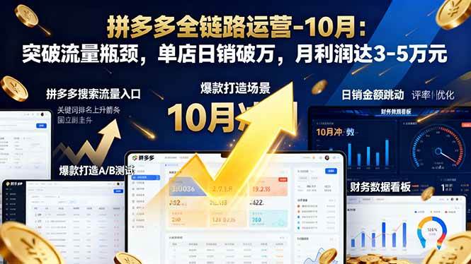 (16462期)拼多多全链路运营-10月:突破流量瓶颈,单店日销破万,月利润达3-5万元-星空网创资源