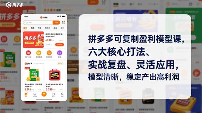 拼多多可复制盈利模型课，六大核心打法、实战复盘、灵活应用，模型清晰，稳定产出高利润-星空网创资源