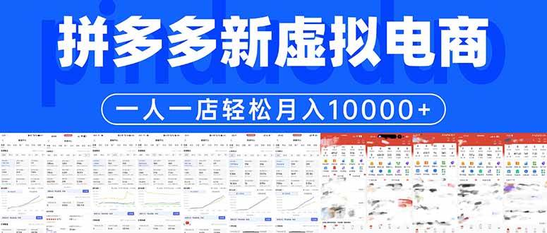 （17978期）拼多多虚拟电商一人一店轻松月入10000+-星空网创资源