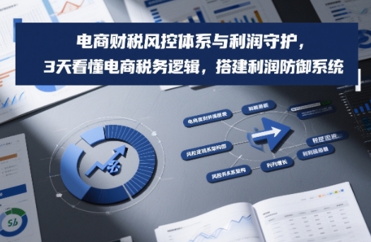 电商财税风控体系与利润守护,3天看懂电商税务逻辑,搭建利润防御系统-星空网创资源