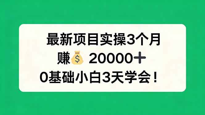（17856期）最新项目实操3个月，赚钱20000+，0基础小白3天学会！-星空网创资源