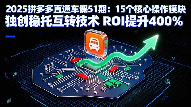 （16020期）2025拼多多直通车课51期：15个核心操作模块 独创稳托互转技术 ROI提升400%-星空网创资源