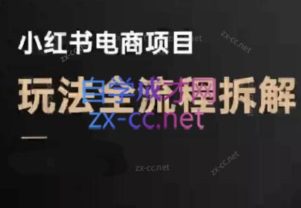 菲菲老师·小红书电商玩法(更新9月)-星空网创资源