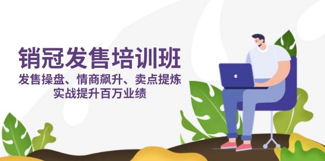 销冠发售培训班:发售 操盘+情商 飙升+卖点 提炼,实战提升百万业绩-星空网创资源