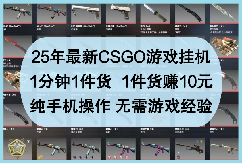 25年最新CSGO游戏挂机，1分钟1件货，1件货赚10元，纯手机操作，无需游戏经验-星空网创资源