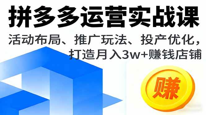 (16135期)拼多多运营实战课,活动布局、推广玩法、投产优化,打造月入3w+赚钱店铺-星空网创资源