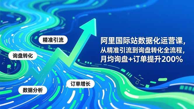 （16660期）阿里国际站数据化运营课-11月，从精准引流到询盘转化全流程，月均询盘+订单提升200%-星空网创资源