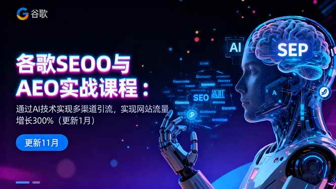 (16463期)谷歌SEO与AEO实战课程:通过AI技术实现多渠道引流,实现网站流量增长300%-星空网创资源