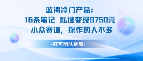 蓝海项目：16条笔记私域变现9750米小众赛道操作的人不多-星空网创资源