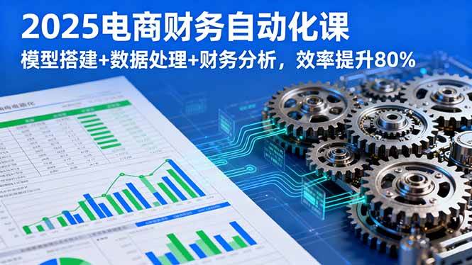 (16021期)2025电商财务自动化课,模型搭建+数据处理+财务分析,效率提升80%-星空网创资源