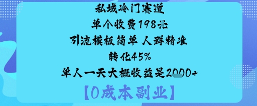 私域冷门赛道:单个收费198米引流模板简单人群精准转化45%单人一天大概收益是1k+-星空网创资源