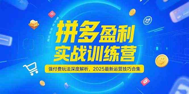 拼多多盈利实战训练营,强付费玩法深度解析,2025最新运营技巧合集-星空网创资源